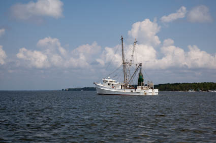 shrimp boat