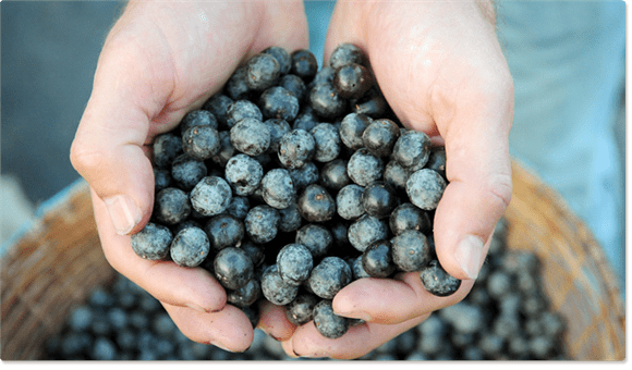 Superfruits Superfruits