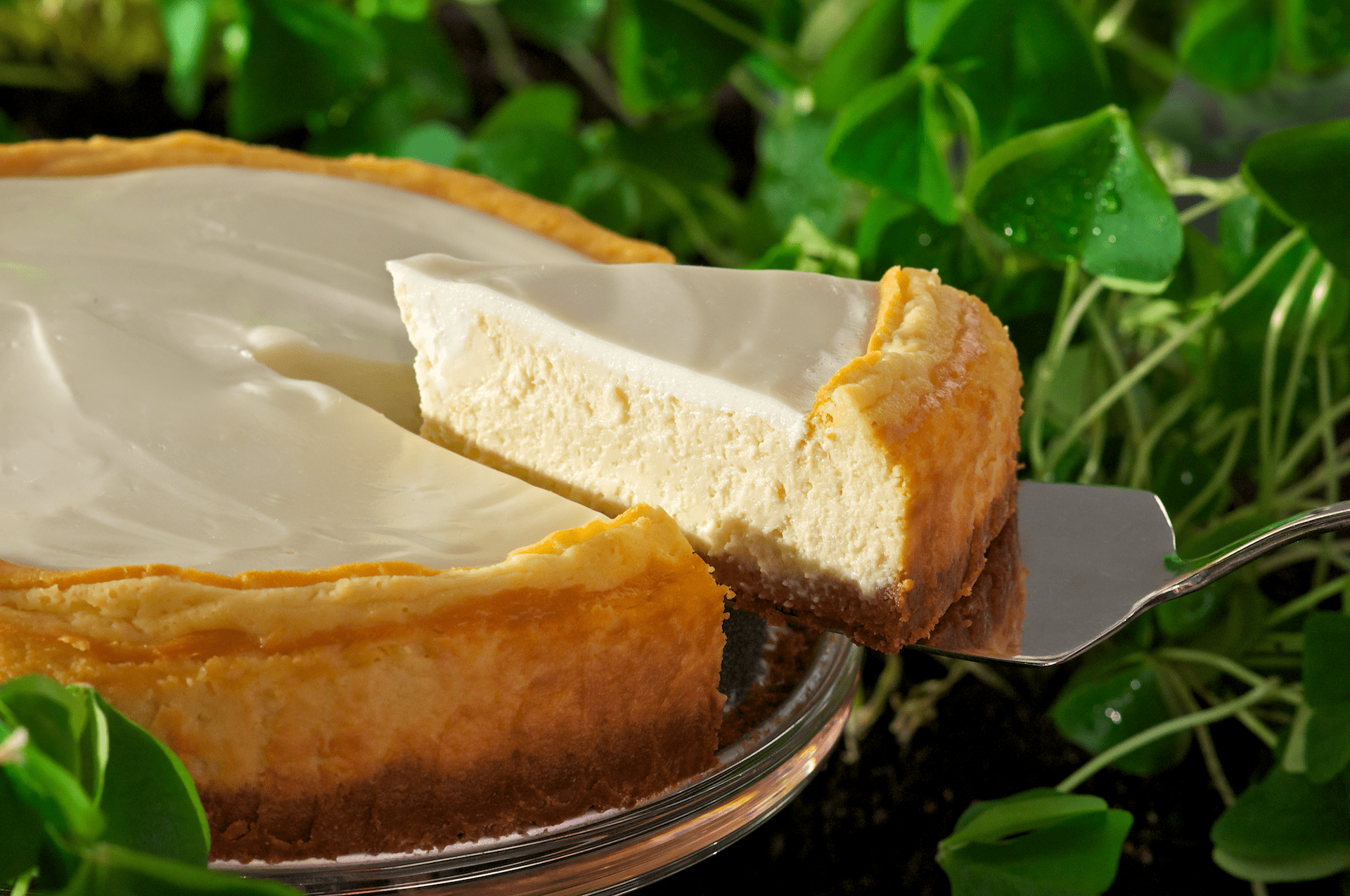 This indulgently delectable cheesecake offers a wonderful balance of Irish Cream liqueur and cream cheese topped with a sweetened sour cream. This recipe would be an ideal choice for a St. Patrick’s Day dessert.