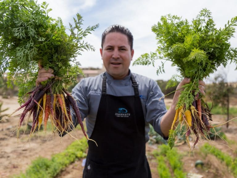 Chef Izzy, as he's known at the resort, tends to his own organic garden, incorporating the delights of his harvest into the dishes he prepares. He also uses sustainable seafood in his restaurants from the Baja waters.